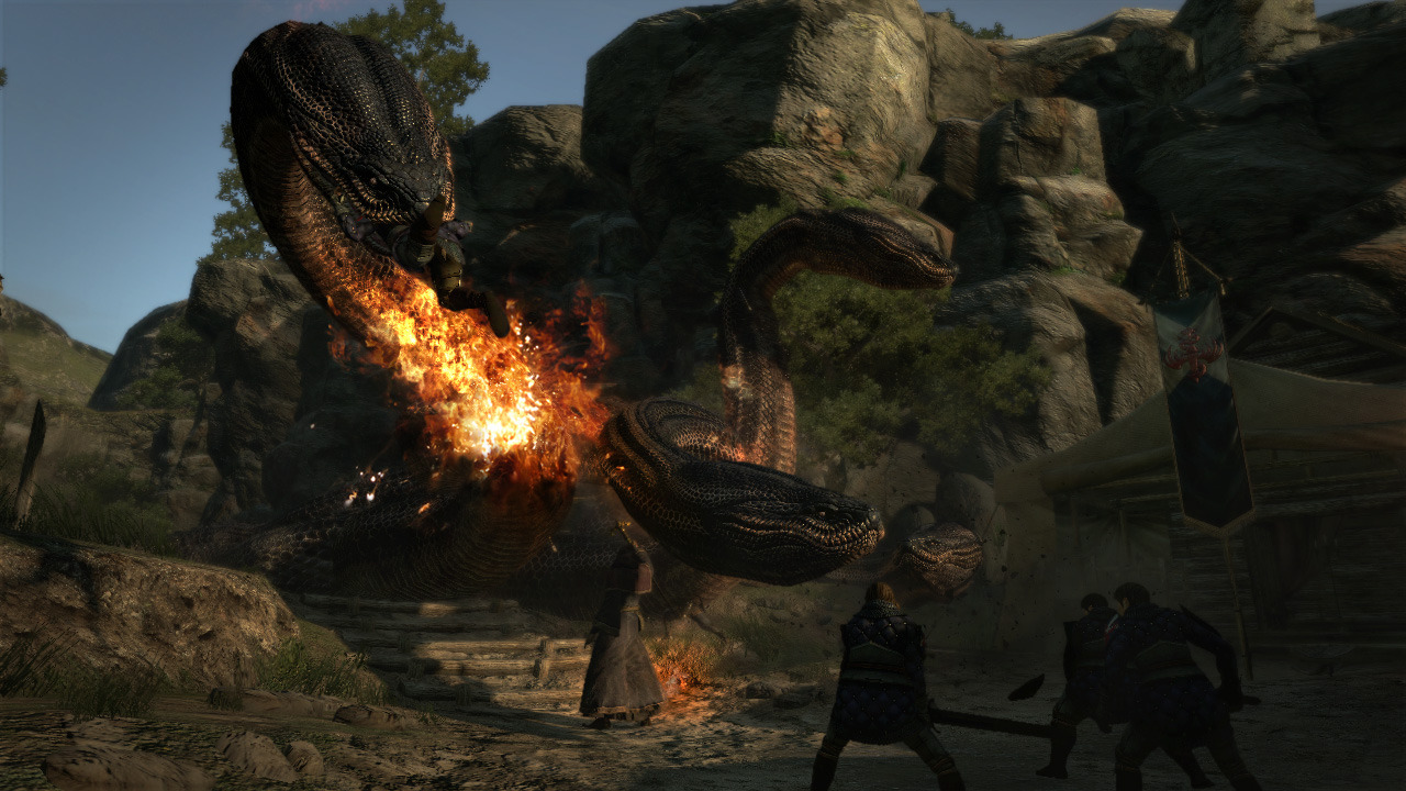 Images Dragon's Dogma