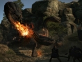 Images Dragon's Dogma