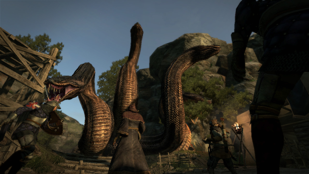 Images Dragon's Dogma