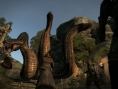 Images Dragon's Dogma