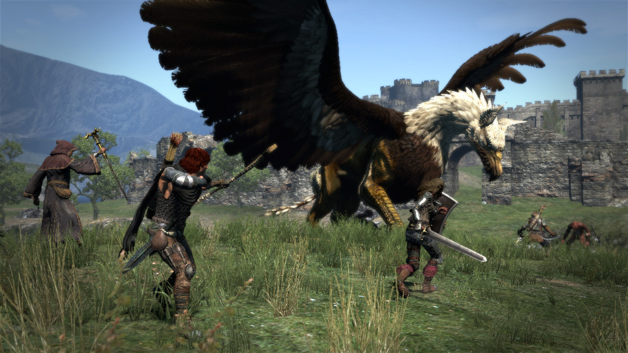 Images Dragon's Dogma