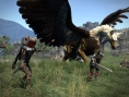 Images Dragon's Dogma