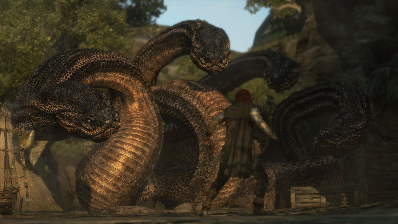 Images Dragon's Dogma