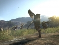 Images Dragon's Dogma