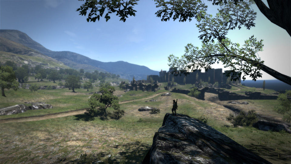Images Dragon's Dogma