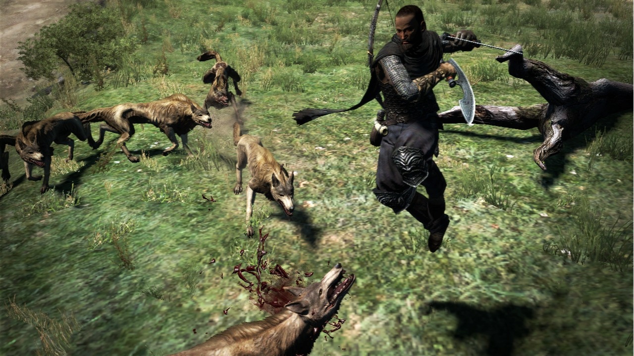 Screens Dragon's Dogma