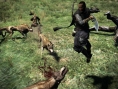Images Dragon's Dogma