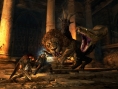 Images Dragon's Dogma