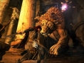 Images Dragon's Dogma