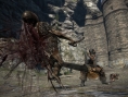 Images Dragon's Dogma
