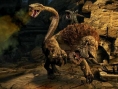 Images Dragon's Dogma