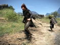 Dragon's Dogma : villages et coéquipiers