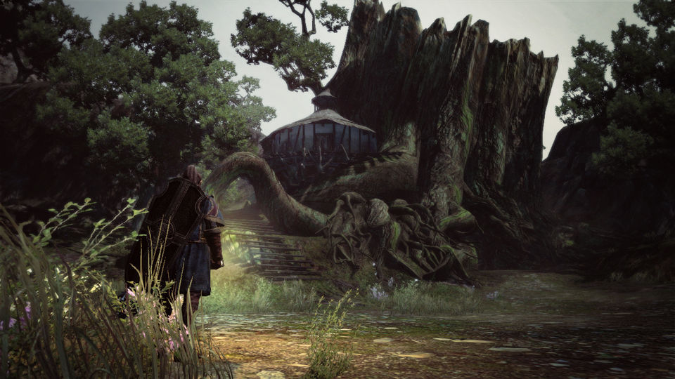 Screens Dragon's Dogma