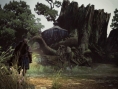 Images Dragon's Dogma