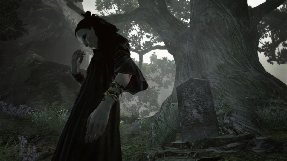 Images Dragon's Dogma