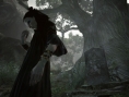Images Dragon's Dogma