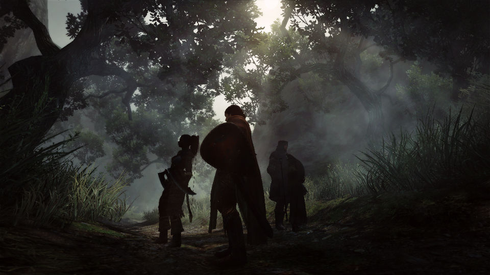 Screens Dragon's Dogma