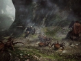 Images Dragon's Dogma