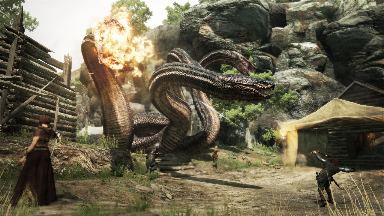 GC 2011 : images Dragon's Dogma