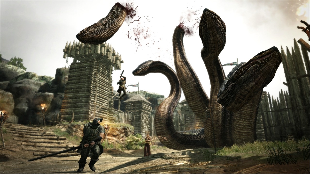GC 2011 : images Dragon's Dogma