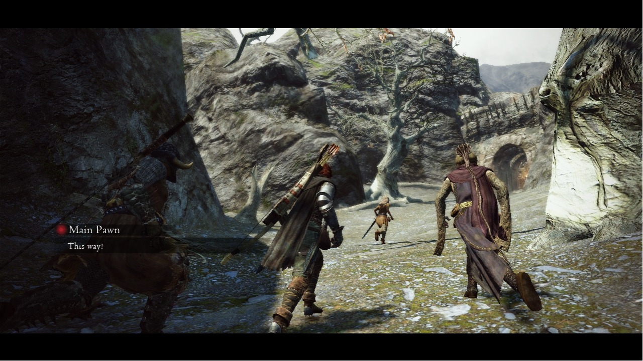 GC 2011: screens Dragon's Dogma