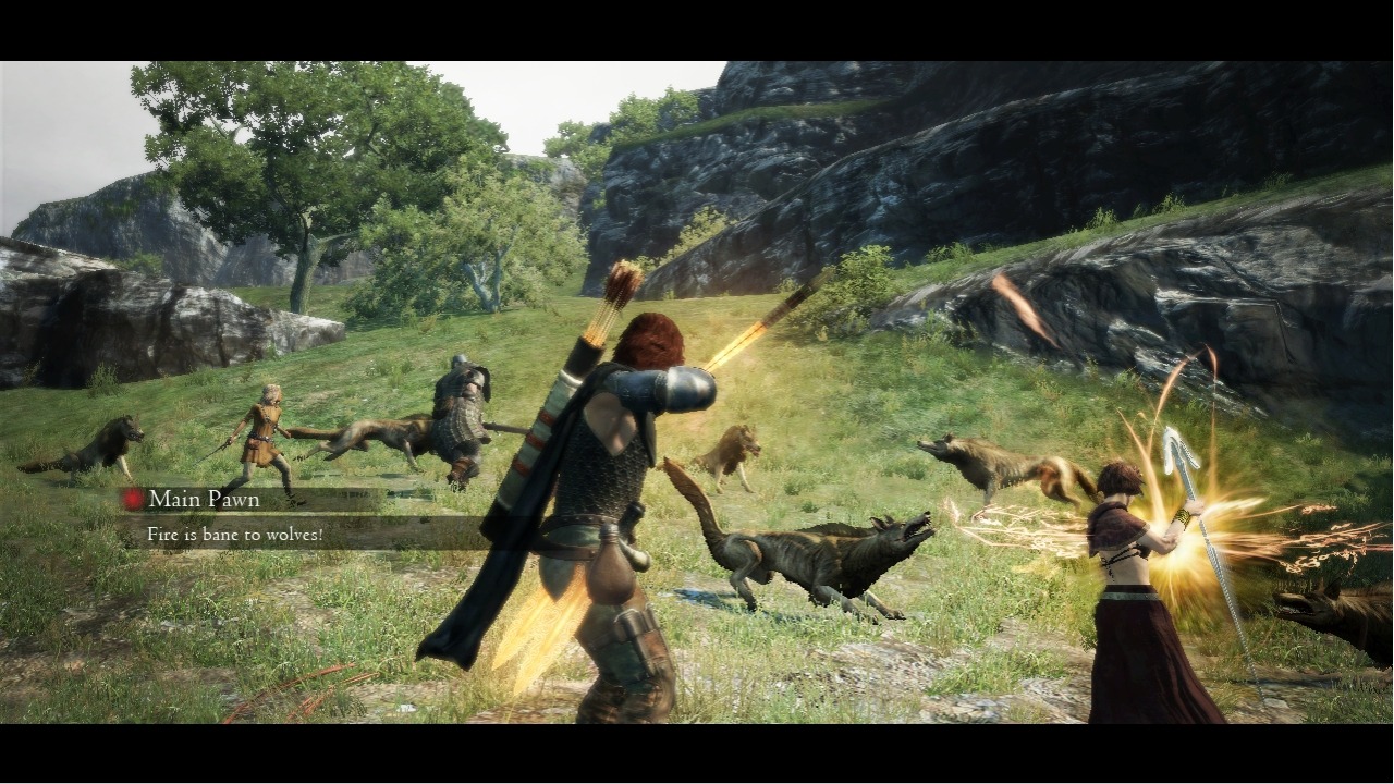 GC 2011: screens Dragon's Dogma