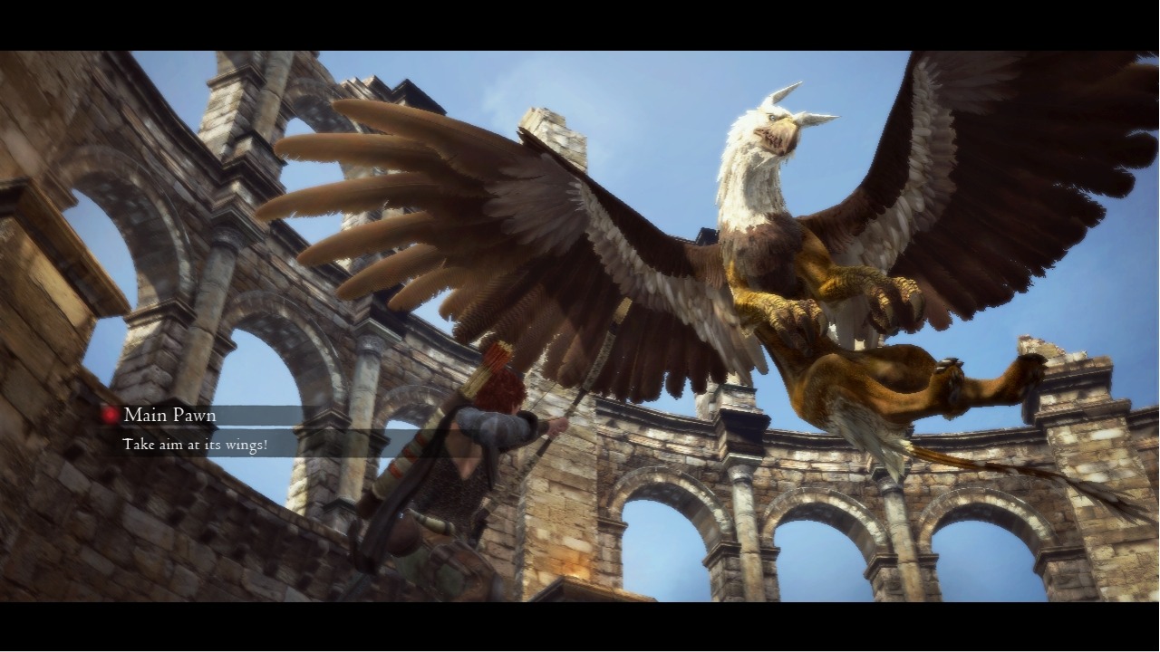 Video Dragon's Dogma