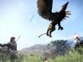 Screens Dragon's Dogma