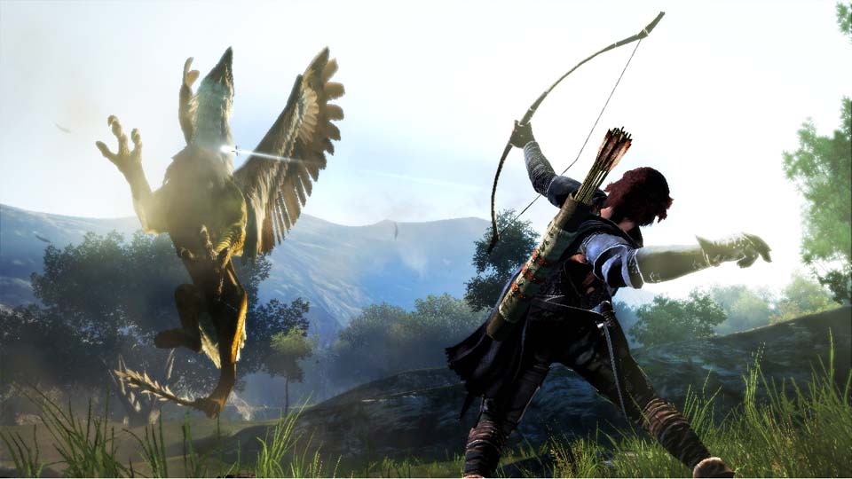 Screens Dragon's Dogma
