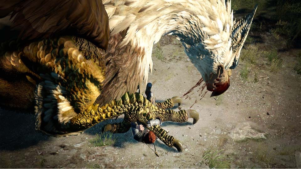 Screens Dragon's Dogma