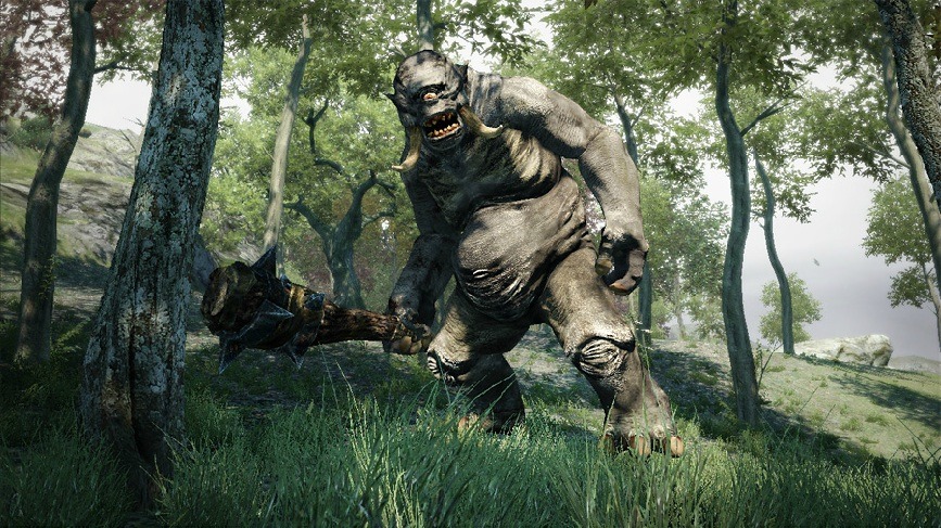 Images Dragon's Dogma
