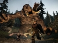 Images Dragon's Dogma