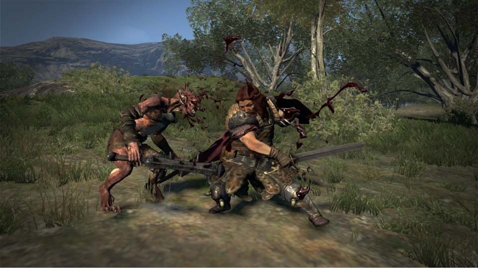 Dragon's Dogma : c'est la classe