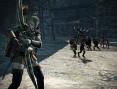 Dragon's Dogma de retour en images