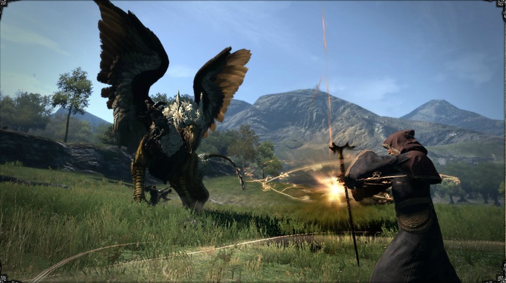 Dragon's Dogma de retour en images
