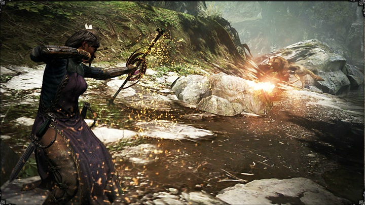 Dragon's Dogma de retour en images