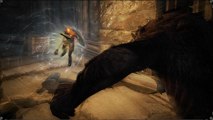 Dragon's Dogma de retour en images