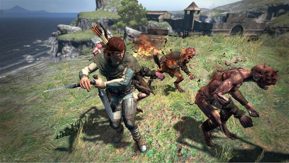 Dragon's Dogma : collector et DLC