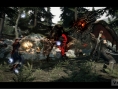 Dragon's Dogma : quelques images