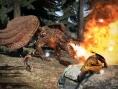 Dragon's Dogma : quelques images