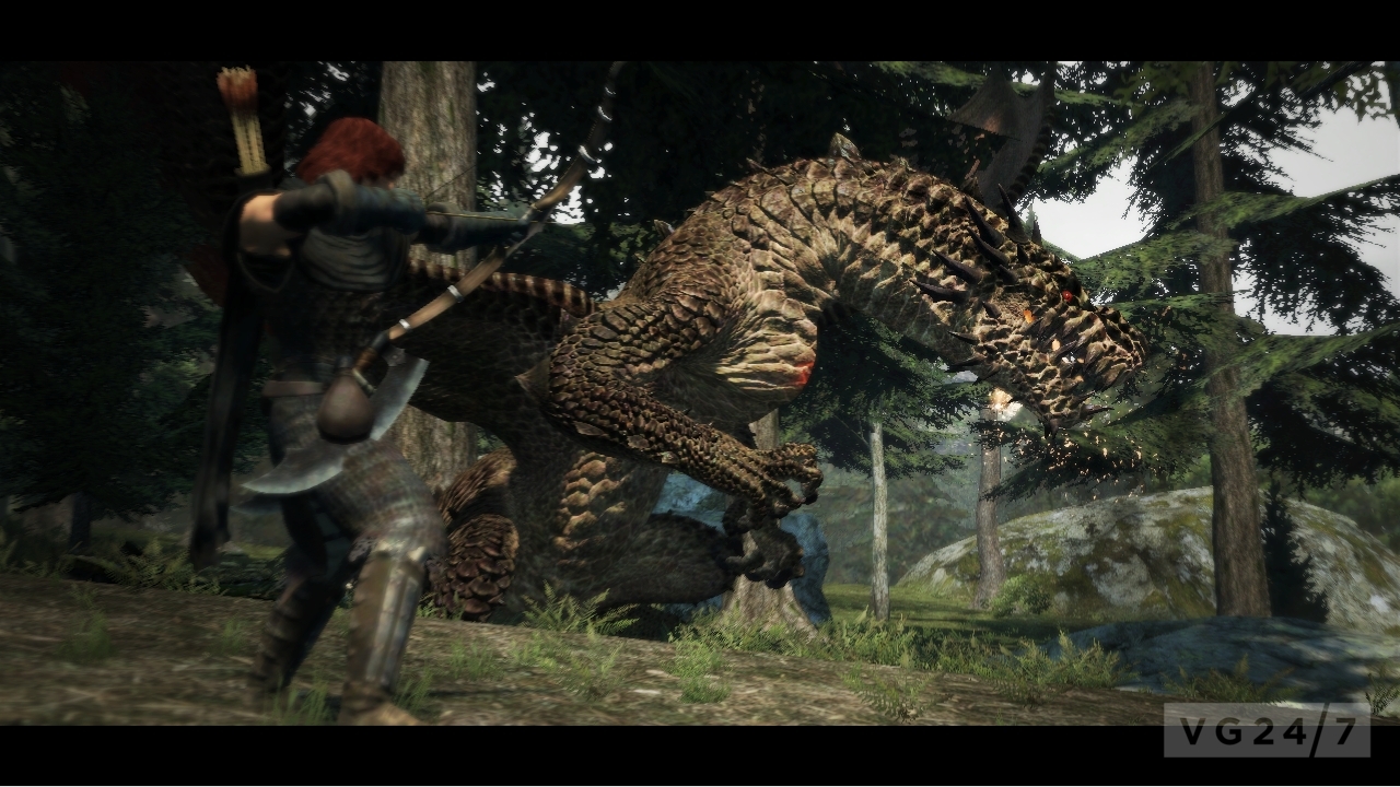 Dragon's Dogma : quelques images