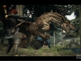 Dragon's Dogma : quelques images