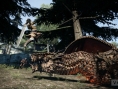 Dragon's Dogma : quelques images