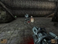 La CPL a choisi Painkiller