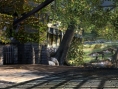 GC 2011: screens Soul Calibur V
