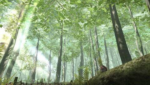 Screens Frontier Gate