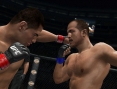Images UFC Undisputed 3