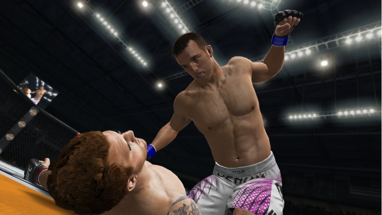 UFC Undisputed 3 : le plein d'images