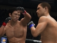 UFC Undisputed 3 : carnet de développeur