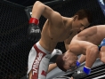 Images UFC Undisputed 3